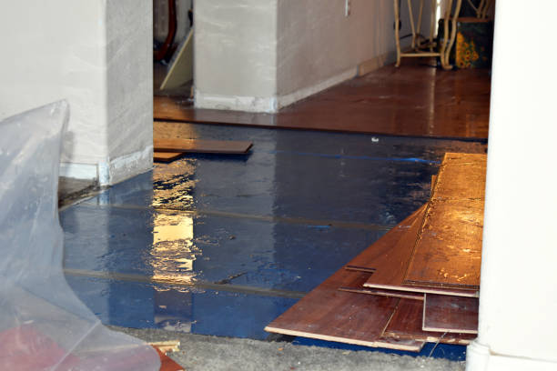 Professional Basement Flood Cleanup technician working in Montague, MA